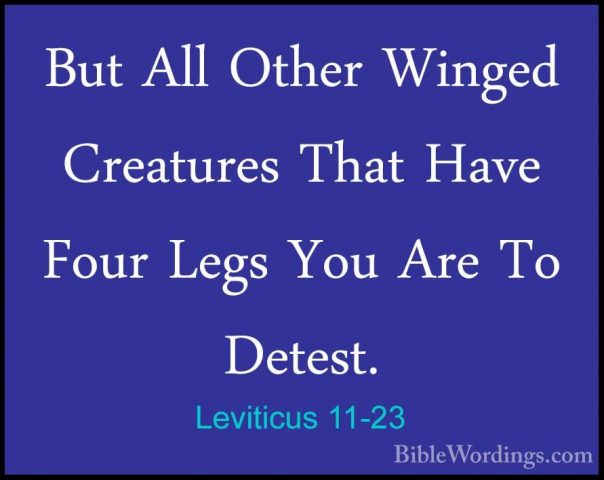 Leviticus 11-23 - But All Other Winged Creatures That Have Four LBut All Other Winged Creatures That Have Four Legs You Are To Detest. 