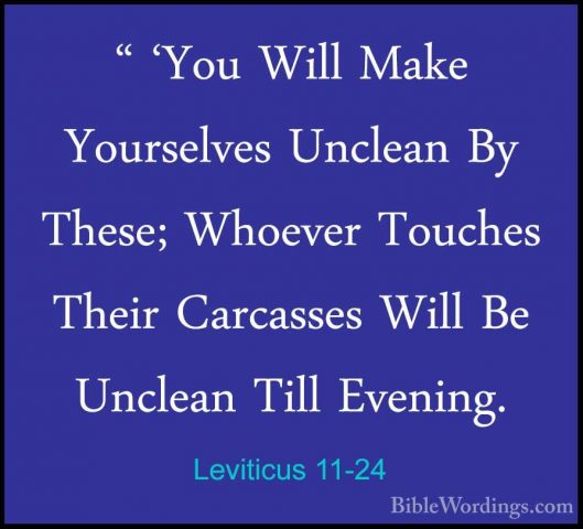 Leviticus 11-24 - " 'You Will Make Yourselves Unclean By These; W" 'You Will Make Yourselves Unclean By These; Whoever Touches Their Carcasses Will Be Unclean Till Evening. 