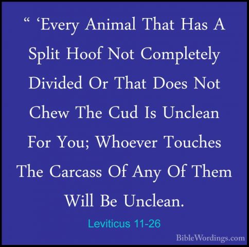 Leviticus 11-26 - " 'Every Animal That Has A Split Hoof Not Compl" 'Every Animal That Has A Split Hoof Not Completely Divided Or That Does Not Chew The Cud Is Unclean For You; Whoever Touches The Carcass Of Any Of Them Will Be Unclean. 