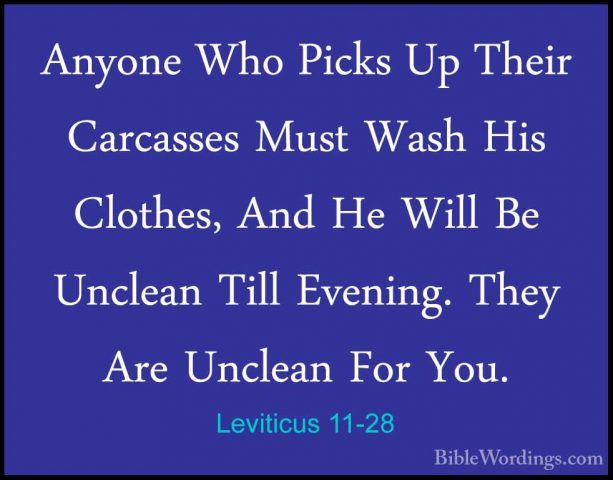 Leviticus 11-28 - Anyone Who Picks Up Their Carcasses Must Wash HAnyone Who Picks Up Their Carcasses Must Wash His Clothes, And He Will Be Unclean Till Evening. They Are Unclean For You. 