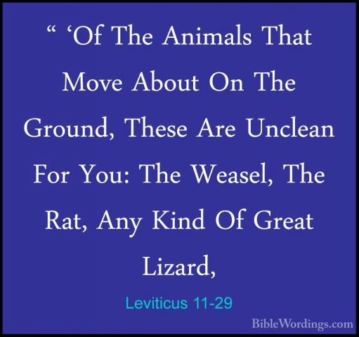 Leviticus 11-29 - " 'Of The Animals That Move About On The Ground" 'Of The Animals That Move About On The Ground, These Are Unclean For You: The Weasel, The Rat, Any Kind Of Great Lizard, 