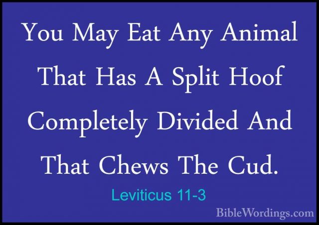 Leviticus 11-3 - You May Eat Any Animal That Has A Split Hoof ComYou May Eat Any Animal That Has A Split Hoof Completely Divided And That Chews The Cud. 