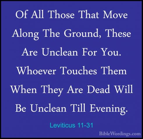 Leviticus 11-31 - Of All Those That Move Along The Ground, TheseOf All Those That Move Along The Ground, These Are Unclean For You. Whoever Touches Them When They Are Dead Will Be Unclean Till Evening. 