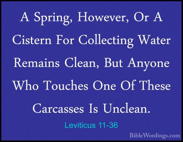 Leviticus 11-36 - A Spring, However, Or A Cistern For CollectingA Spring, However, Or A Cistern For Collecting Water Remains Clean, But Anyone Who Touches One Of These Carcasses Is Unclean. 