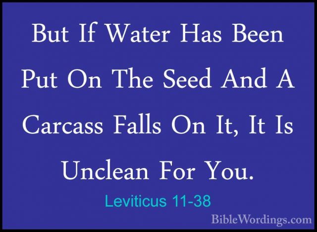 Leviticus 11-38 - But If Water Has Been Put On The Seed And A CarBut If Water Has Been Put On The Seed And A Carcass Falls On It, It Is Unclean For You. 