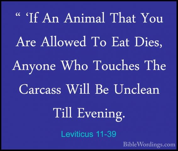 Leviticus 11-39 - " 'If An Animal That You Are Allowed To Eat Die" 'If An Animal That You Are Allowed To Eat Dies, Anyone Who Touches The Carcass Will Be Unclean Till Evening. 