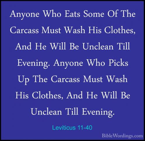 Leviticus 11-40 - Anyone Who Eats Some Of The Carcass Must Wash HAnyone Who Eats Some Of The Carcass Must Wash His Clothes, And He Will Be Unclean Till Evening. Anyone Who Picks Up The Carcass Must Wash His Clothes, And He Will Be Unclean Till Evening. 