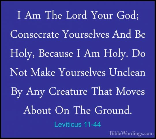Leviticus 11-44 - I Am The Lord Your God; Consecrate Yourselves AI Am The Lord Your God; Consecrate Yourselves And Be Holy, Because I Am Holy. Do Not Make Yourselves Unclean By Any Creature That Moves About On The Ground. 