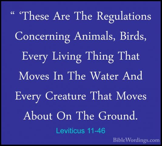 Leviticus 11-46 - " 'These Are The Regulations Concerning Animals" 'These Are The Regulations Concerning Animals, Birds, Every Living Thing That Moves In The Water And Every Creature That Moves About On The Ground. 