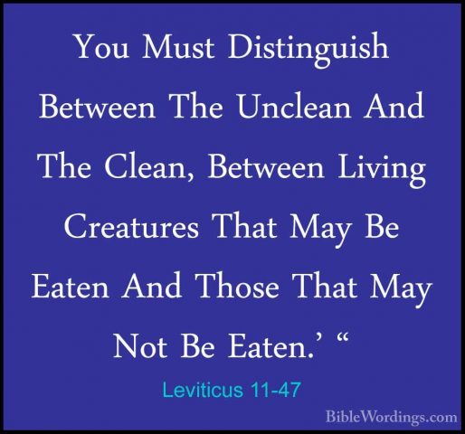 Leviticus 11-47 - You Must Distinguish Between The Unclean And ThYou Must Distinguish Between The Unclean And The Clean, Between Living Creatures That May Be Eaten And Those That May Not Be Eaten.' "