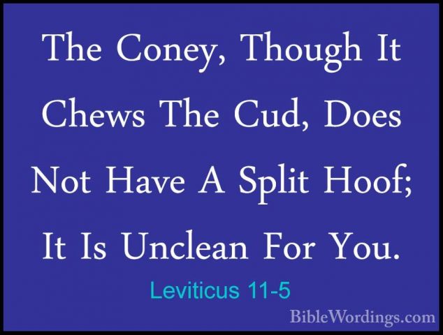 Leviticus 11-5 - The Coney, Though It Chews The Cud, Does Not HavThe Coney, Though It Chews The Cud, Does Not Have A Split Hoof; It Is Unclean For You. 