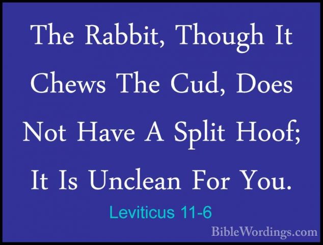 Leviticus 11-6 - The Rabbit, Though It Chews The Cud, Does Not HaThe Rabbit, Though It Chews The Cud, Does Not Have A Split Hoof; It Is Unclean For You. 