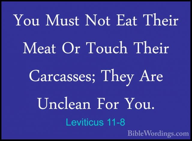 Leviticus 11-8 - You Must Not Eat Their Meat Or Touch Their CarcaYou Must Not Eat Their Meat Or Touch Their Carcasses; They Are Unclean For You. 