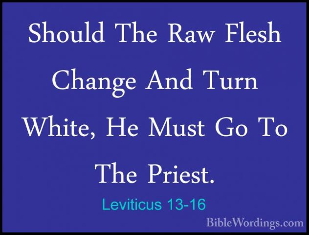 Leviticus 13-16 - Should The Raw Flesh Change And Turn White, HeShould The Raw Flesh Change And Turn White, He Must Go To The Priest. 
