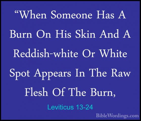Leviticus 13-24 - "When Someone Has A Burn On His Skin And A Redd"When Someone Has A Burn On His Skin And A Reddish-white Or White Spot Appears In The Raw Flesh Of The Burn, 