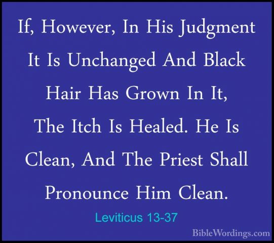 Leviticus 13-37 - If, However, In His Judgment It Is Unchanged AnIf, However, In His Judgment It Is Unchanged And Black Hair Has Grown In It, The Itch Is Healed. He Is Clean, And The Priest Shall Pronounce Him Clean. 