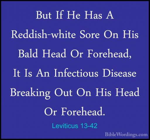 Leviticus 13-42 - But If He Has A Reddish-white Sore On His BaldBut If He Has A Reddish-white Sore On His Bald Head Or Forehead, It Is An Infectious Disease Breaking Out On His Head Or Forehead. 