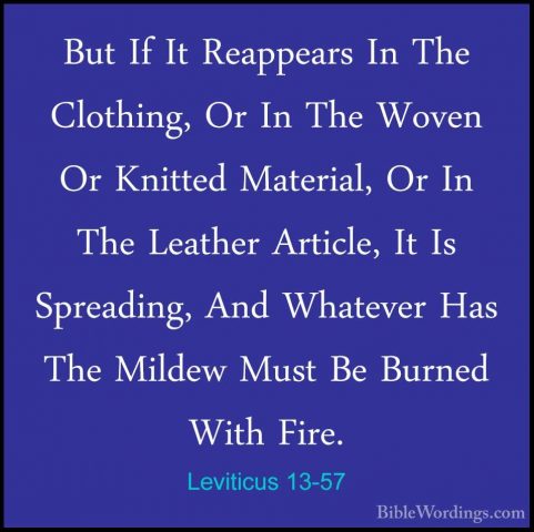 Leviticus 13-57 - But If It Reappears In The Clothing, Or In TheBut If It Reappears In The Clothing, Or In The Woven Or Knitted Material, Or In The Leather Article, It Is Spreading, And Whatever Has The Mildew Must Be Burned With Fire. 