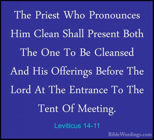 Leviticus 14-11 - The Priest Who Pronounces Him Clean Shall PreseThe Priest Who Pronounces Him Clean Shall Present Both The One To Be Cleansed And His Offerings Before The Lord At The Entrance To The Tent Of Meeting. 