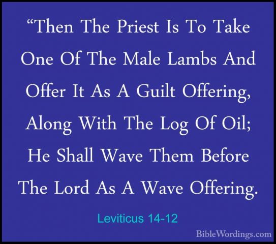 Leviticus 14-12 - "Then The Priest Is To Take One Of The Male Lam"Then The Priest Is To Take One Of The Male Lambs And Offer It As A Guilt Offering, Along With The Log Of Oil; He Shall Wave Them Before The Lord As A Wave Offering. 
