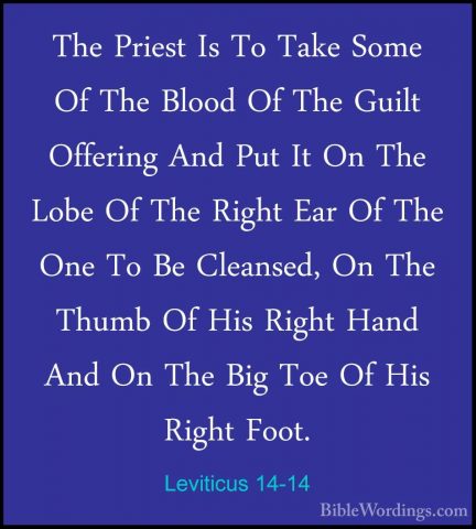 Leviticus 14-14 - The Priest Is To Take Some Of The Blood Of TheThe Priest Is To Take Some Of The Blood Of The Guilt Offering And Put It On The Lobe Of The Right Ear Of The One To Be Cleansed, On The Thumb Of His Right Hand And On The Big Toe Of His Right Foot. 