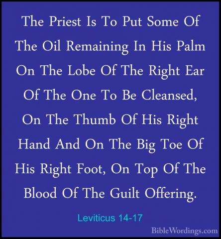 Leviticus 14-17 - The Priest Is To Put Some Of The Oil RemainingThe Priest Is To Put Some Of The Oil Remaining In His Palm On The Lobe Of The Right Ear Of The One To Be Cleansed, On The Thumb Of His Right Hand And On The Big Toe Of His Right Foot, On Top Of The Blood Of The Guilt Offering. 