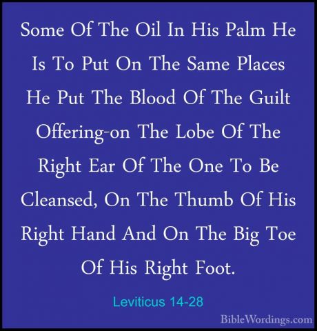 Leviticus 14-28 - Some Of The Oil In His Palm He Is To Put On TheSome Of The Oil In His Palm He Is To Put On The Same Places He Put The Blood Of The Guilt Offering-on The Lobe Of The Right Ear Of The One To Be Cleansed, On The Thumb Of His Right Hand And On The Big Toe Of His Right Foot. 