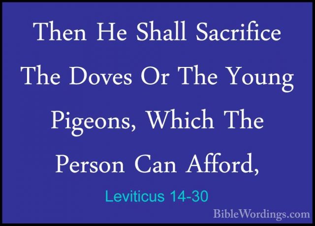 Leviticus 14-30 - Then He Shall Sacrifice The Doves Or The YoungThen He Shall Sacrifice The Doves Or The Young Pigeons, Which The Person Can Afford, 
