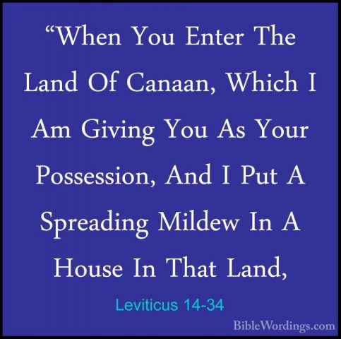 Leviticus 14-34 - "When You Enter The Land Of Canaan, Which I Am"When You Enter The Land Of Canaan, Which I Am Giving You As Your Possession, And I Put A Spreading Mildew In A House In That Land, 