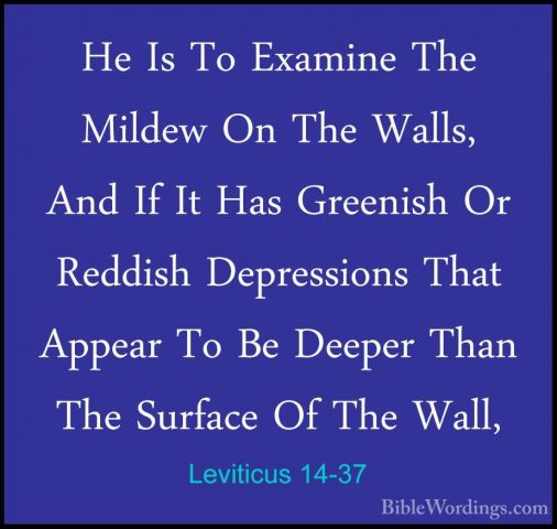 Leviticus 14-37 - He Is To Examine The Mildew On The Walls, And IHe Is To Examine The Mildew On The Walls, And If It Has Greenish Or Reddish Depressions That Appear To Be Deeper Than The Surface Of The Wall, 