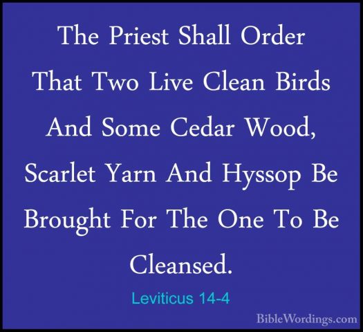 Leviticus 14-4 - The Priest Shall Order That Two Live Clean BirdsThe Priest Shall Order That Two Live Clean Birds And Some Cedar Wood, Scarlet Yarn And Hyssop Be Brought For The One To Be Cleansed. 