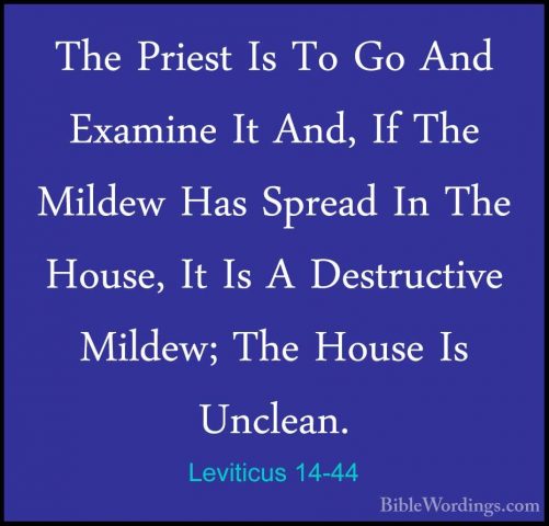 Leviticus 14-44 - The Priest Is To Go And Examine It And, If TheThe Priest Is To Go And Examine It And, If The Mildew Has Spread In The House, It Is A Destructive Mildew; The House Is Unclean. 