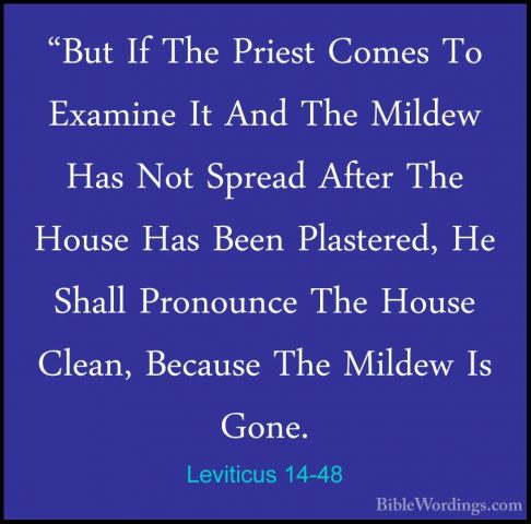 Leviticus 14-48 - "But If The Priest Comes To Examine It And The"But If The Priest Comes To Examine It And The Mildew Has Not Spread After The House Has Been Plastered, He Shall Pronounce The House Clean, Because The Mildew Is Gone. 