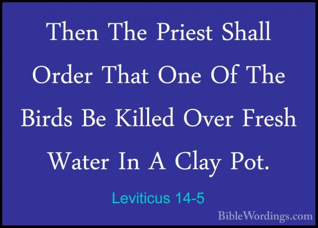 Leviticus 14-5 - Then The Priest Shall Order That One Of The BirdThen The Priest Shall Order That One Of The Birds Be Killed Over Fresh Water In A Clay Pot. 