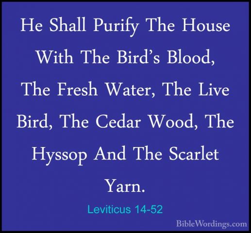 Leviticus 14-52 - He Shall Purify The House With The Bird's BloodHe Shall Purify The House With The Bird's Blood, The Fresh Water, The Live Bird, The Cedar Wood, The Hyssop And The Scarlet Yarn. 