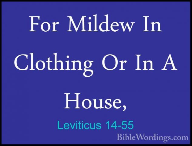 Leviticus 14-55 - For Mildew In Clothing Or In A House,For Mildew In Clothing Or In A House, 
