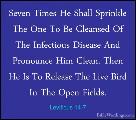 Leviticus 14-7 - Seven Times He Shall Sprinkle The One To Be CleaSeven Times He Shall Sprinkle The One To Be Cleansed Of The Infectious Disease And Pronounce Him Clean. Then He Is To Release The Live Bird In The Open Fields. 