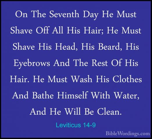 Leviticus 14-9 - On The Seventh Day He Must Shave Off All His HaiOn The Seventh Day He Must Shave Off All His Hair; He Must Shave His Head, His Beard, His Eyebrows And The Rest Of His Hair. He Must Wash His Clothes And Bathe Himself With Water, And He Will Be Clean. 