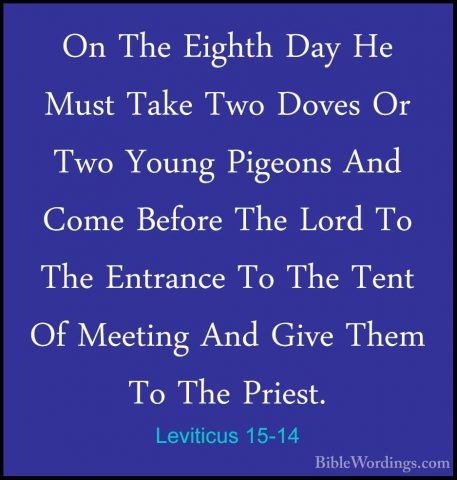 Leviticus 15-14 - On The Eighth Day He Must Take Two Doves Or TwoOn The Eighth Day He Must Take Two Doves Or Two Young Pigeons And Come Before The Lord To The Entrance To The Tent Of Meeting And Give Them To The Priest. 