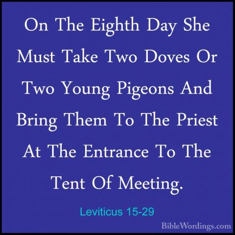 Leviticus 15-29 - On The Eighth Day She Must Take Two Doves Or TwOn The Eighth Day She Must Take Two Doves Or Two Young Pigeons And Bring Them To The Priest At The Entrance To The Tent Of Meeting. 