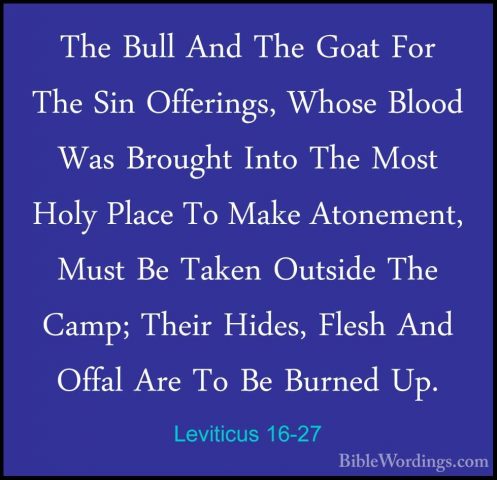 Leviticus 16-27 - The Bull And The Goat For The Sin Offerings, WhThe Bull And The Goat For The Sin Offerings, Whose Blood Was Brought Into The Most Holy Place To Make Atonement, Must Be Taken Outside The Camp; Their Hides, Flesh And Offal Are To Be Burned Up. 
