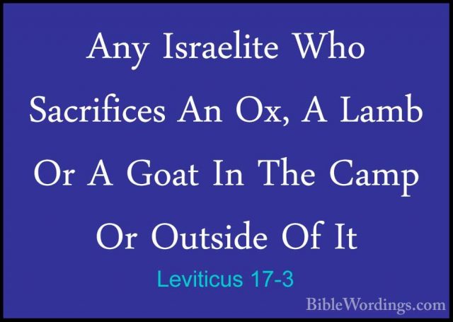 Leviticus 17-3 - Any Israelite Who Sacrifices An Ox, A Lamb Or AAny Israelite Who Sacrifices An Ox, A Lamb Or A Goat In The Camp Or Outside Of It 