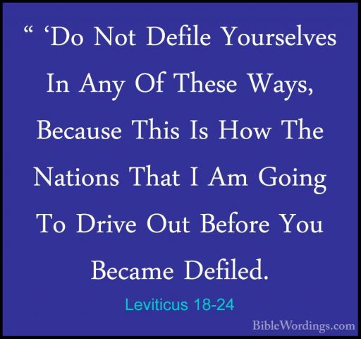 Leviticus 18-24 - " 'Do Not Defile Yourselves In Any Of These Way" 'Do Not Defile Yourselves In Any Of These Ways, Because This Is How The Nations That I Am Going To Drive Out Before You Became Defiled. 