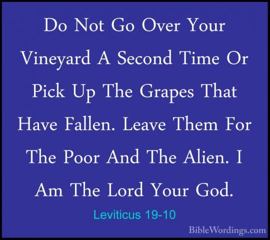 Leviticus 19-10 - Do Not Go Over Your Vineyard A Second Time Or PDo Not Go Over Your Vineyard A Second Time Or Pick Up The Grapes That Have Fallen. Leave Them For The Poor And The Alien. I Am The Lord Your God. 