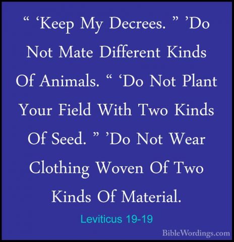 Leviticus 19-19 - " 'Keep My Decrees. " 'Do Not Mate Different Ki" 'Keep My Decrees. " 'Do Not Mate Different Kinds Of Animals. " 'Do Not Plant Your Field With Two Kinds Of Seed. " 'Do Not Wear Clothing Woven Of Two Kinds Of Material. 