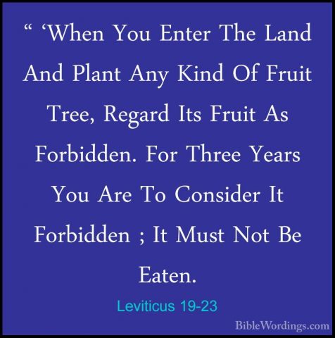 Leviticus 19-23 - " 'When You Enter The Land And Plant Any Kind O" 'When You Enter The Land And Plant Any Kind Of Fruit Tree, Regard Its Fruit As Forbidden. For Three Years You Are To Consider It Forbidden ; It Must Not Be Eaten. 