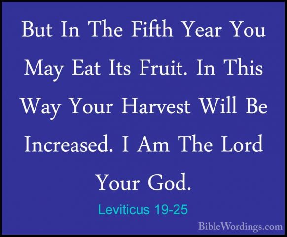 Leviticus 19-25 - But In The Fifth Year You May Eat Its Fruit. InBut In The Fifth Year You May Eat Its Fruit. In This Way Your Harvest Will Be Increased. I Am The Lord Your God. 