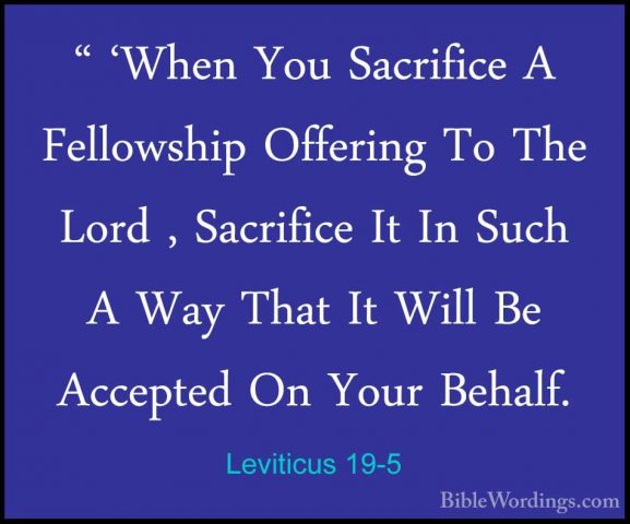 Leviticus 19-5 - " 'When You Sacrifice A Fellowship Offering To T" 'When You Sacrifice A Fellowship Offering To The Lord , Sacrifice It In Such A Way That It Will Be Accepted On Your Behalf. 