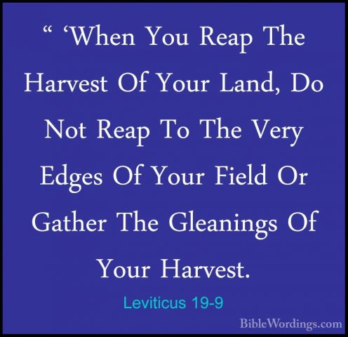 Leviticus 19-9 - " 'When You Reap The Harvest Of Your Land, Do No" 'When You Reap The Harvest Of Your Land, Do Not Reap To The Very Edges Of Your Field Or Gather The Gleanings Of Your Harvest. 
