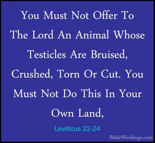 Leviticus 22-24 - You Must Not Offer To The Lord An Animal WhoseYou Must Not Offer To The Lord An Animal Whose Testicles Are Bruised, Crushed, Torn Or Cut. You Must Not Do This In Your Own Land, 